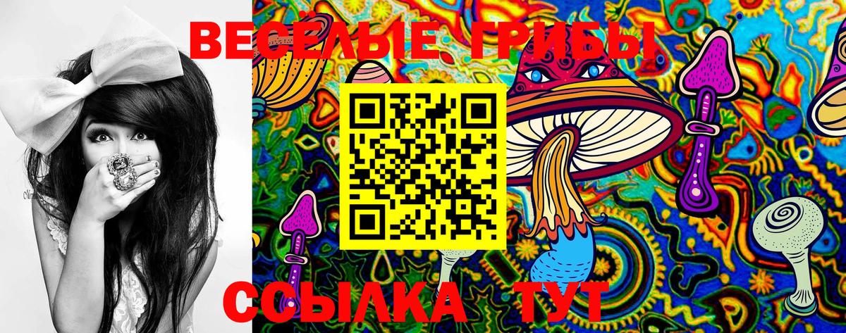 Кострома  Галлюциногенные грибы Magic Shrooms  Вход с VPN 